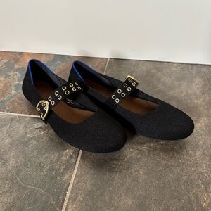 Rothy’s ballet Mary Jane